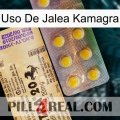 Kamagra Jelly Use new06